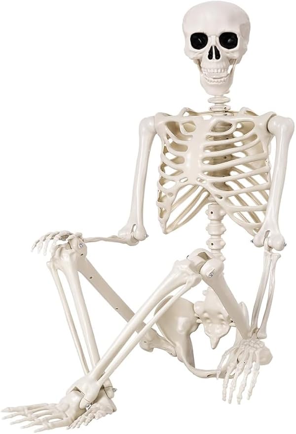 36" Halloween Skeleton - 3 ft Life Size Human Skeleton with Full Body Posable Joints - Spooky Scary Plastic Skeletons for Outdoor Decoration, Halloween Party Decor, Haunted House Props