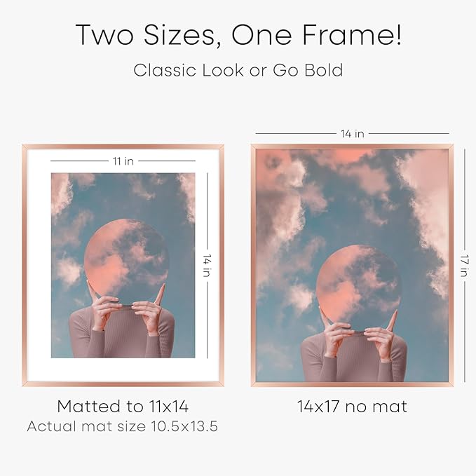 Homeforia 14x17 Picture Frame Rose Gold, High End Metal 14x17 Poster Frames with Mat 11x14 inch Photo, 14 x 17 Rose Gold Frame Matted to 11 by 14 Print, 17x14 Frame, Tempered Glass, Wall Kit, Set of 1
