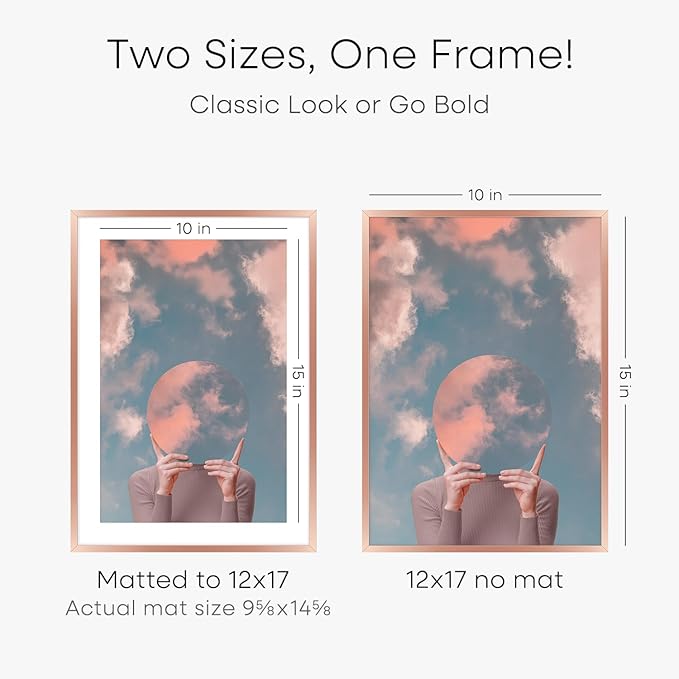 Homeforia 12x17 Picture Frame Rose Gold, High End Metal 12x17 Poster Frames with Mat 10x15 Photo, 12 x 17 Rose Gold Frame Matted to 10 by 15 Print, 17x12 Thin Frame, Tempered Glass, Wall Kit, Set of 1