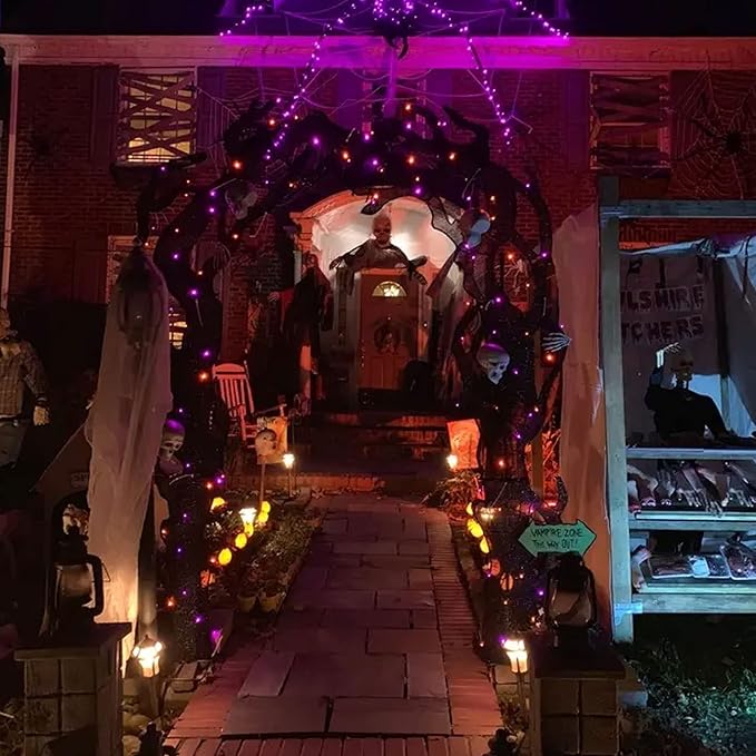 TW SHINE Purple and Orange Halloween Lights, 2 Pack 20FT 100 Count Incandescent Mini String Lights, Waterproof Halloween Decorations for Outdoor Indoor Patio Home Party Garden Yard Decor