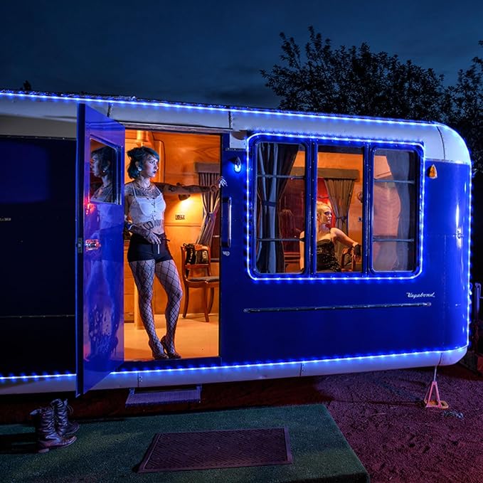 Rope Lights Outdoor, 66FT 200 LED Rope Lights for Outside Waterproof with 8 Modes, Plug in Connectable Clear Tube Light for Indoor, Garden, Backyard, Patio, Pool, Tree, Holiday Decorations - Blue