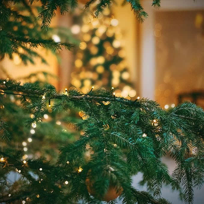 XTF2015 105ft 300 LED Christmas String Lights, End to End Plug 8 Modes Christmas Lights UL Certified Outdoor Indoor Fairy Light Christmas Tree, Patio, Garden, Party, Wedding, Holiday (Warm White)