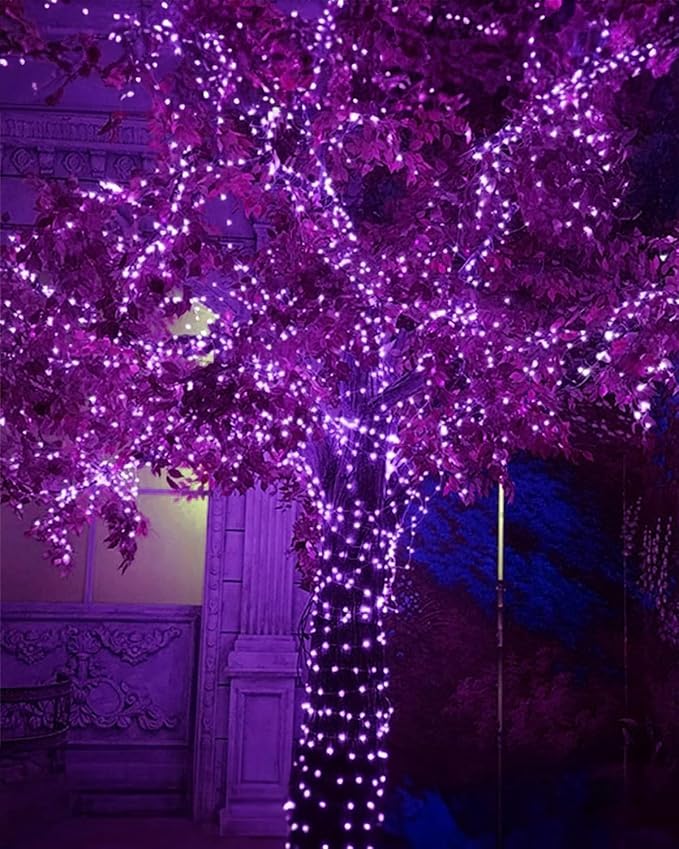 Twinkle Star 2 Pack Outdoor Solar String Lights, Total 80FT 240 LED Solar Powered Halloween Decorative Fairy Lights with 8 Modes, Waterproof Black Wire Light Patio Yard Wedding Party, Purple, 2 Pack