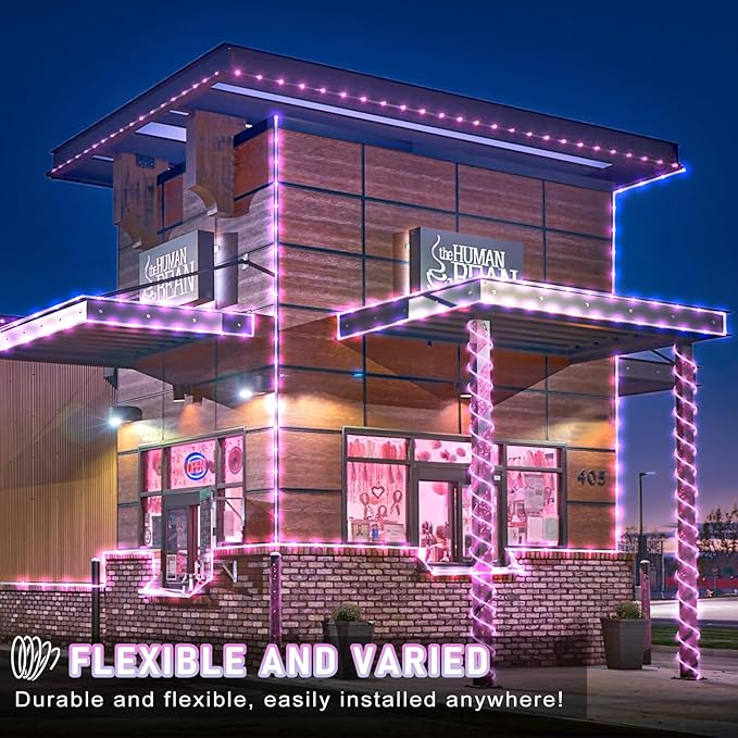 Rope Lights Outdoor, 66FT 200 LED Rope Lights for Outside Waterproof with 8 Modes, Flexible and Connectable Clear Tube Light for Indoor, Garden, Backyard, Patio, Pool, Tree Holiday Decorations - Pink