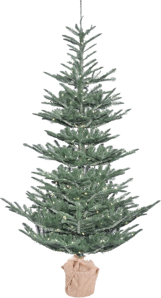 5' x 40" Alberta Blue Spruce 200LEDWmWht