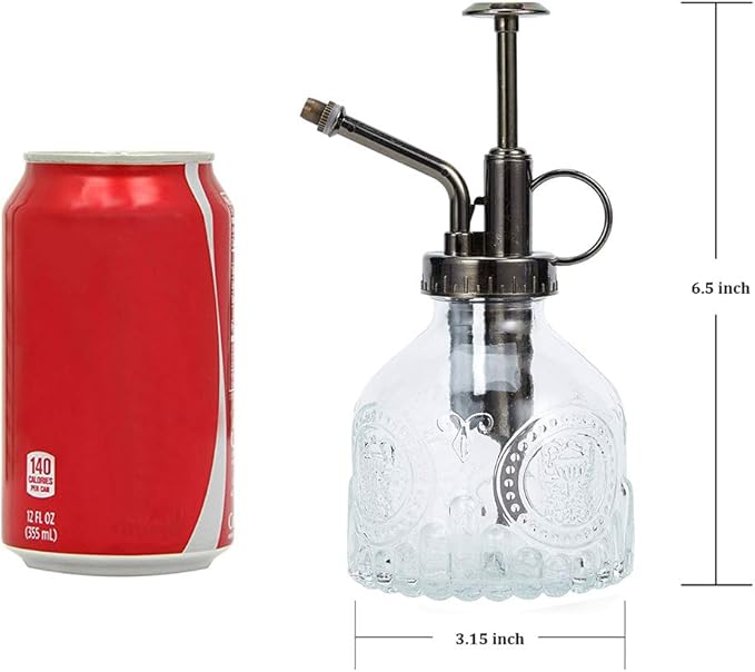 Glass Spray Bottle, 6.5" Tall Vintage Spritzer, Succulent Watering Bottle with Top Pump, Indoor Outdoor Plant Sprayer - Clear