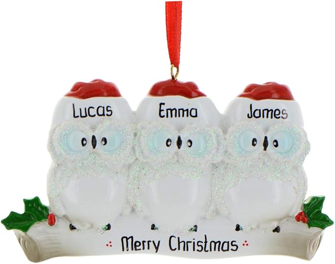 3D Owl Family of 3 Christmas Ornament 2025 Personalized Family Christmas Ornaments 2025 | White Holiday Keepsake Personalized Tree Ornaments Customizable Gifts Woodland Owls of Three Ornament Holly