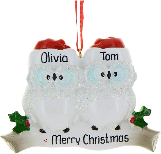 3D Personalized Our First Christmas Ornament 2025 | Custom Owl Couple Ornaments Winter White Owls Couples Ornament 2025 Family of 2 Unique for a Couple Ornaments Couples Unique Gifts