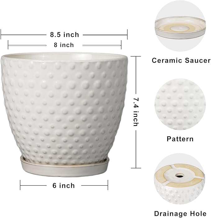 G EPGardening 8 Inch Plant Pot for Indoor Outdoor Plants Round Ceramic Planter Pot with Drainage Hole and Saucer Modern Large Flower Pot White