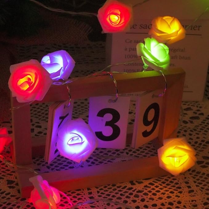 Everlasting Splashes LED Rose Flower Fairy String Lights Battery Operated Warm Flashing Light Romantic Proposal Wedding Party Birthday Christmas Thanksgiving DIY Indoor Outdoor Decorations (Red&Pink)