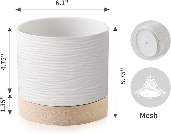 Nihow Ceramic Plant Pot: 6 Inch Planter with Drainage Hole & Saucer for Indoor & Outdoor Plants - Cylinder Round Flower Pot for Succulent/Herbs/Violets - White & Brown
