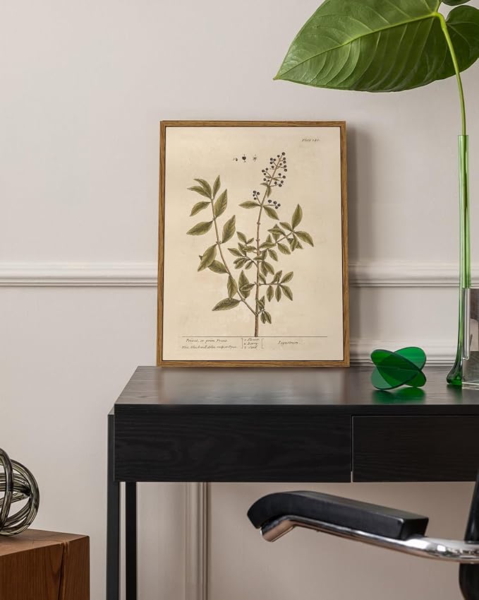 VIYYIEA Framed Canvas Wall Art Home Decor Boho Plant Wall Decor Minimalist Botanical Print Canvas Wall Art Pictures for Rustic Vintage Farmhouse Home Kitchen Room Decor 11x14in