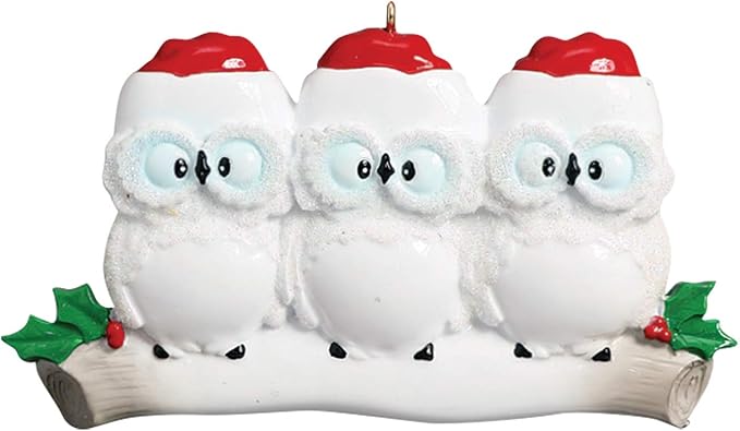 3D Owl Family of 3 Christmas Ornament 2025 Personalized Family Christmas Ornaments 2025 | White Holiday Keepsake Personalized Tree Ornaments Customizable Gifts Woodland Owls of Three Ornament Holly