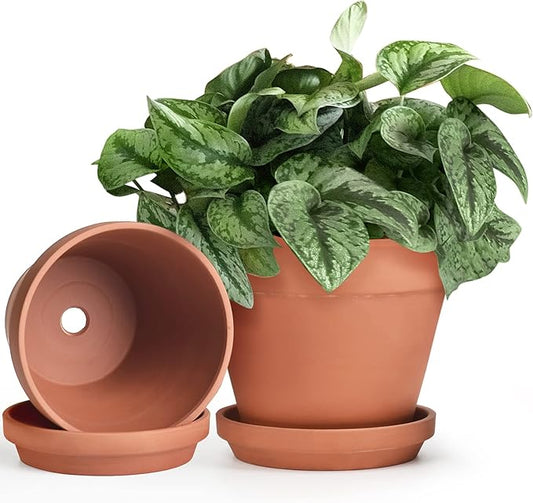 INGOFIN Terracotta Pots Set with Saucer - 2-Pack Ceramic Clay Planters with Drainage Hole, Garden Flower Succulent Pots with Tray for Indoor Outdoor Plants, 8 inch, Set of 2
