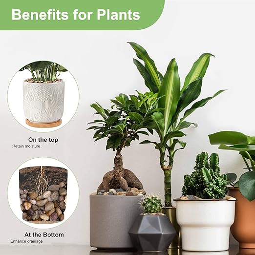 5 lbs Drainage Rocks for Potted Plants, 1/5 Inch Small Pebbles for Indoor Plants, Decorative Gravel for Vases, Bamboo, Succulent, Terrarium, Crafts, Cactus