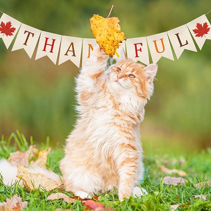 Doumeny Thankful Burlap Banner Fall Thanksgiving Banner Garland Autumn Maple Leaves Bunting Garland Thanksgiving Party Hanging Flag Harvest Bunting Flag for Home Wall Mantel Fireplace Farmhouse Decor