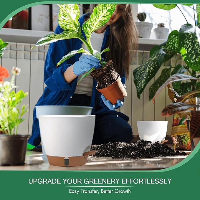 montresor 2 Pack 8 inch Plant Pots, PP Plastic Self Watering Plant Pot with Drainage and Tray for Indoor Outdoor Plants, Water Level Window & Reservoir Flower Pots Decorative Planter(White)