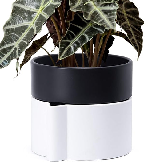 8 Inch Self-Watering Planter Pot with Terracotta Insert, Deep Water Reservoir, and Ceramic-Alike BPA-Free Plastic Planter Pot for Plant, Modern Planter for Houseplants, White/Black, 53-B-T-4