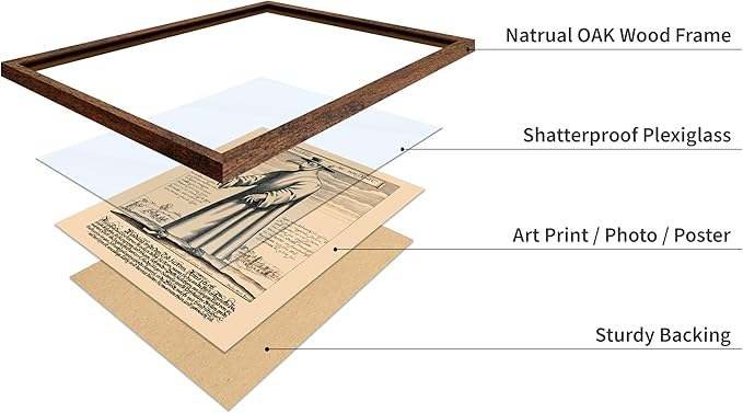 Poster Master Vintage Medieval Poster - Retro Illustration Print - Gift for Friend - Plague Doctor, Pandemic Mask, Physician, Black Death - Wall Decor for Home, Living Room, 16x20 Brown Framed