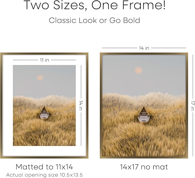 Homeforia 14x17 Picture Frame Bronze, High End Metal 14x17 Brass Poster Frames with Mat 11x14 for Photo, 14 x 17 Frame Matted to 11 by 14 Print, 17x14 Hanging Frame, Tempered Glass, Wall Kit, Set of 1