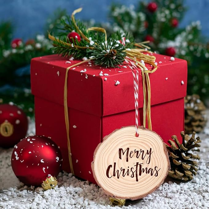 80 PCS 3.6-4 Inch Unfinished Wood Slices, Natural Wood Slices, Predrilled with Hole Wood Slice for DIY Arts Craft Christmas Ornaments by GNIEMCKIN