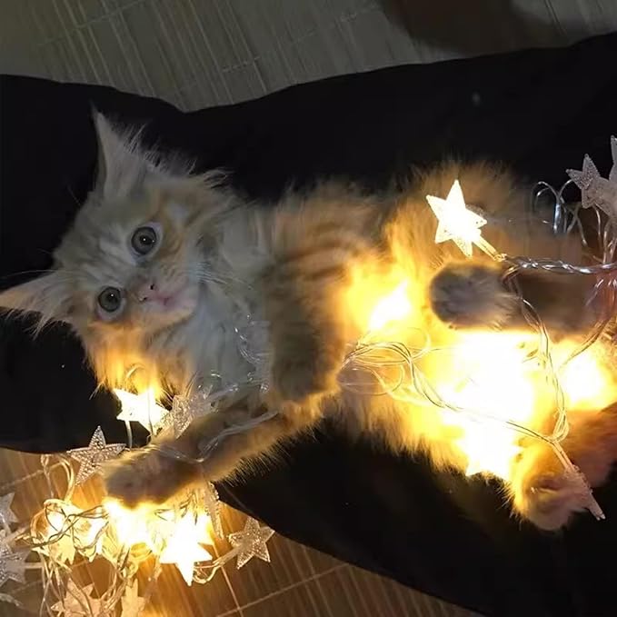 Star String Lights for Bedroom - 17 Ft 50 LED Fairy Christmas Lights Battery Operated, Indoor Outdoor Waterproof Star Twinkle Light for Tent Loft Bed Party Camping Decor