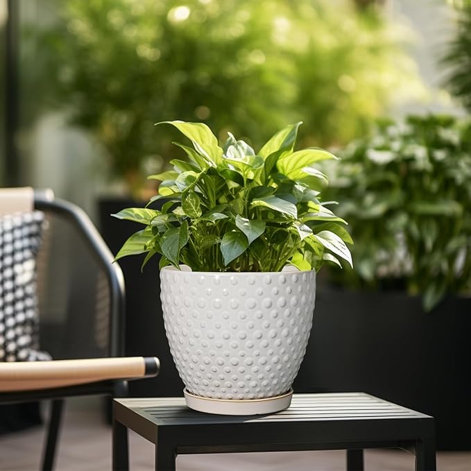 G EPGardening 10 Inch Plant Pot Ceramic Pots for Plants Indoor Outdoor Plant Pots with Drainage Hole and Saucer Round Large Flower Pot for Home Garden Office White