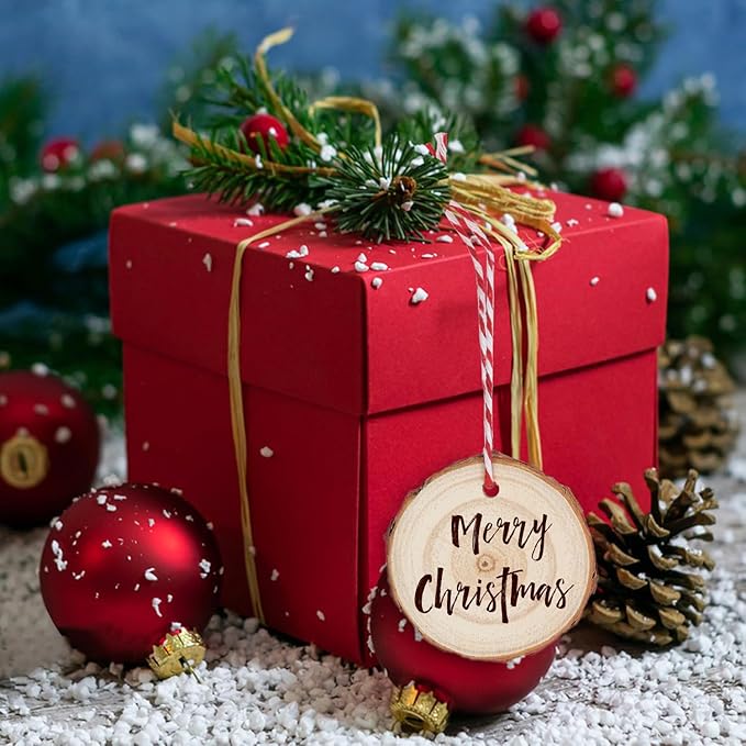 70 PCS 3 Inch Unfinished Wood Slices Hole Wood, Natural Wood Slices, Predrilled with Hole Wood Slice for DIY Arts Craft Christmas Ornaments by GNIEMCKIN