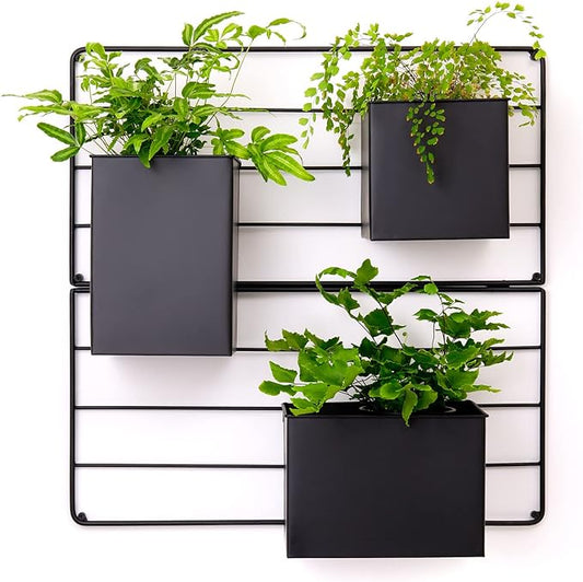 KASSELL Vertical Garden Wall Planter. Wall Mounted for Indoor Outdoor. All Metal Black Vertical Planter with No Assembly Required. Planter for Indoor Plants Flowers, Herbs, Succulents and Plants
