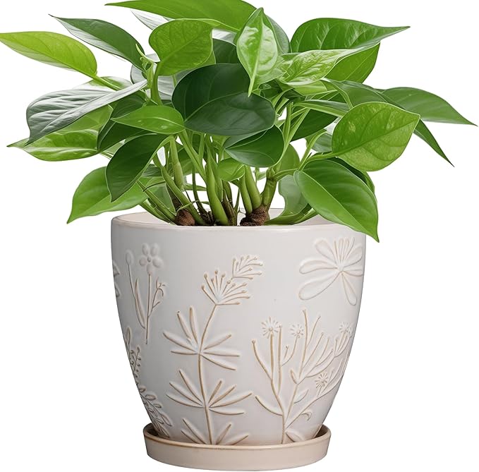 6.9 Inch Ceramic Plant Pot for Indoor Plants Outdoor Round Planter Flower Pot with Drainage Hole and Saucer for Home Garden Office Decor White
