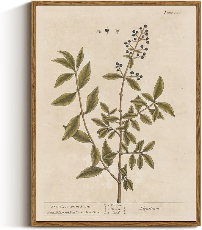 VIYYIEA Framed Canvas Wall Art Home Decor Boho Plant Wall Decor Minimalist Botanical Print Canvas Wall Art Pictures for Rustic Vintage Farmhouse Home Kitchen Room Decor 12x16in