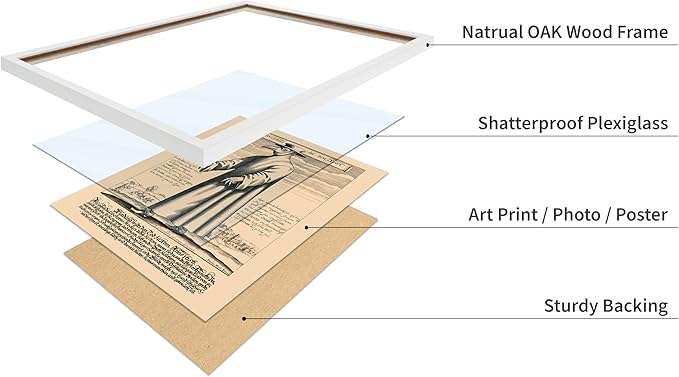 Poster Master Vintage Medieval Poster - Retro Illustration Print - Gift for Friend - Plague Doctor, Pandemic Mask, Physician, Black Death - Wall Decor for Home, Living Room, 8x10 White Framed