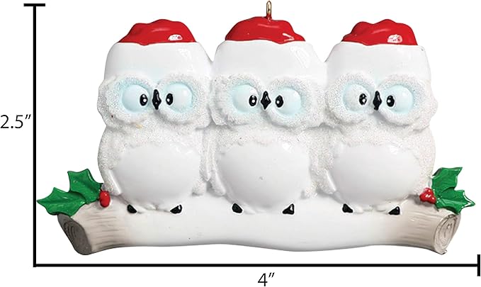 3D Owl Family of 3 Christmas Ornament 2025 Personalized Family Christmas Ornaments 2025 | White Holiday Keepsake Personalized Tree Ornaments Customizable Gifts Woodland Owls of Three Ornament Holly