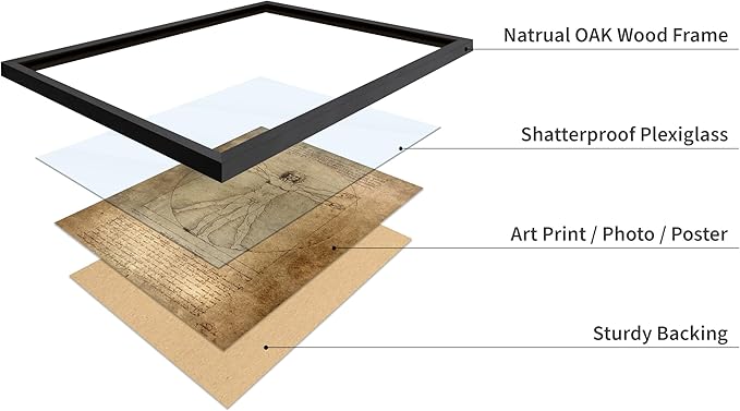 Poster Master Classic Leonardo Da Vinci Poster - Vintage Renaissance Print - Gift for Artist, Friend - Vitruvian Man, Proportion, Symmetry, Human Body - Wall Decor for Office, 8x10 Black Framed