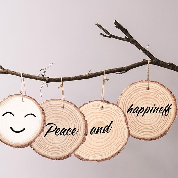 60 PCS 3.2-3.6inch Unfinished Wood Slices, Natural Wood Slices, Predrilled with Hole Wood Slice for DIY Arts Craft Christmas Ornaments