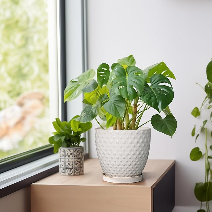 G EPGardening 6 Inch Ceramic Plant Pot with Drainage Hole and Saucer Round Planter Decorative Flower Plant Pot for Indoor Plants Outdoor White