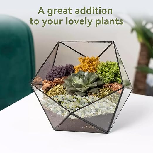 5LB Succulent and Cactus Pebbles, 1/5 Inch Jade Pebbles for Indoor Plants, Decorative Gravel for Vases, Bamboo, Succulent, Terrarium, Crafts, Cactus