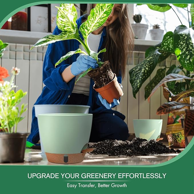 montresor 2 Pack 8 inch Plant Pots, PP Plastic Self Watering Plant Pot with Drainage and Tray for Indoor Outdoor Plants, Water Level Window & Reservoir Flower Pots Decorative Planter (Green)