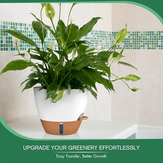 montresor 2 Pack 10 inch Plant Pots, PP Plastic Self Watering Plant Pot with Drainage and Tray for Indoor Outdoor Plants, Water Level Window & Reservoir Flower Pots Decorative Planter (White)