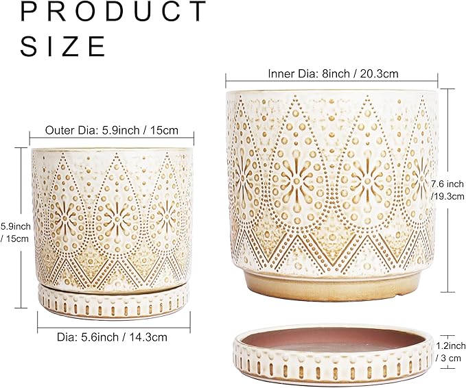 8 Inch + 6 Inch Indoor Plant Pot with Drainage Holes and Saucers, Ceramic Planter for Plants, Succulent Orchid Flower Pots