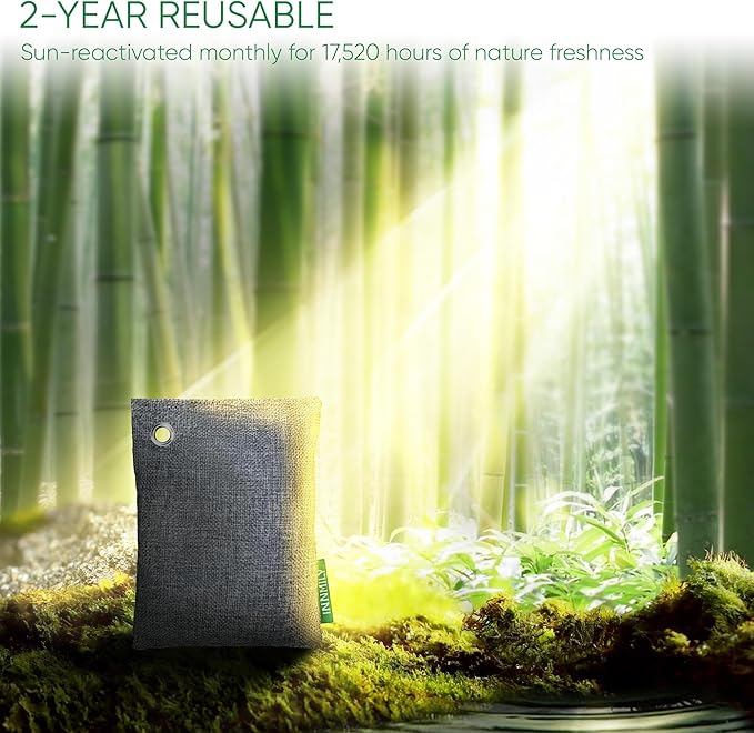 Activated Charcoal Odor Absorber, Odor Eliminator for Strong Odor,Bamboo Charcoal Air Purifying Bags for Home Car Closet Pet, Smoke Room Deodorizer (12 Packs, Unscented)