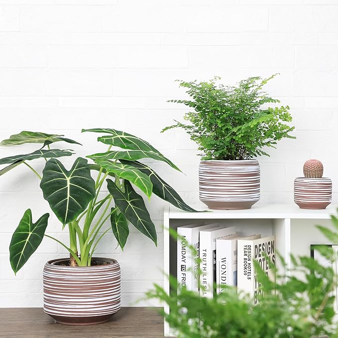 8 Inch + 6 Inch Ceramic Plant Pots Indoor with Drainage – Flower Pot Set, Decorative Indoor Planters for House Plants and Garden Use