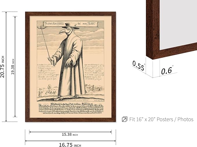 Poster Master Vintage Medieval Poster - Retro Illustration Print - Gift for Friend - Plague Doctor, Pandemic Mask, Physician, Black Death - Wall Decor for Home, Living Room, 16x20 Brown Framed