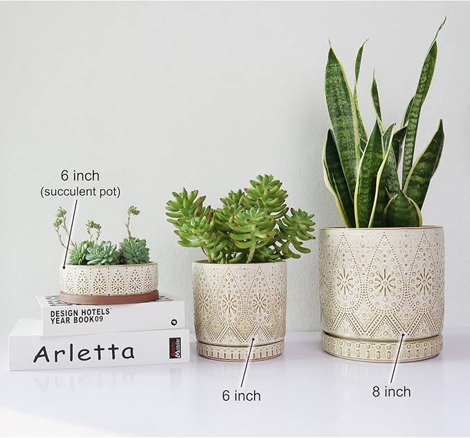 8 Inch Indoor Plant Pot with Drainage Holes and Saucers, Ceramic Planter for Plants, Succulent Orchid Flower Pots