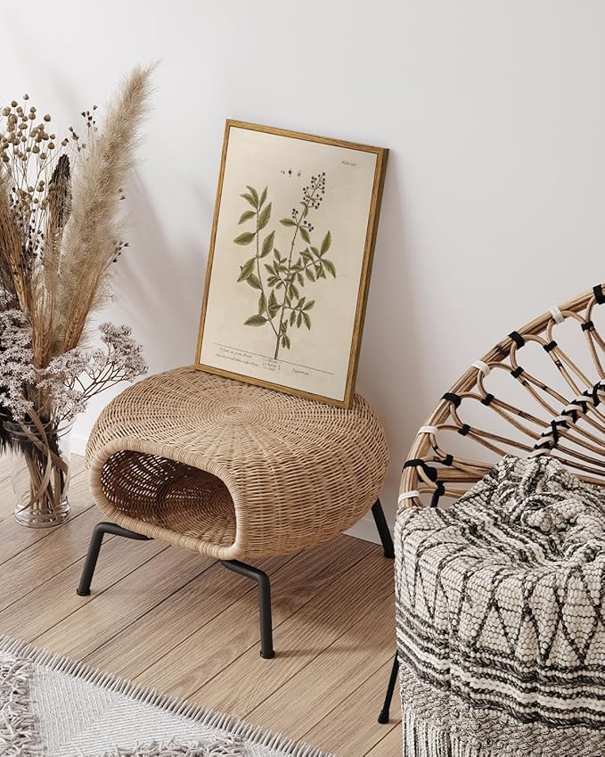 VIYYIEA Framed Canvas Wall Art Home Decor Boho Plant Wall Decor Minimalist Botanical Print Canvas Wall Art Pictures for Rustic Vintage Farmhouse Home Kitchen Room Decor 11x14in