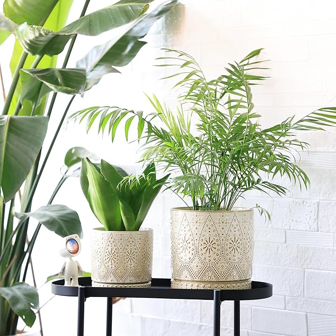 8 Inch + 6 Inch Indoor Plant Pot with Drainage Holes and Saucers, Ceramic Planter for Plants, Succulent Orchid Flower Pots