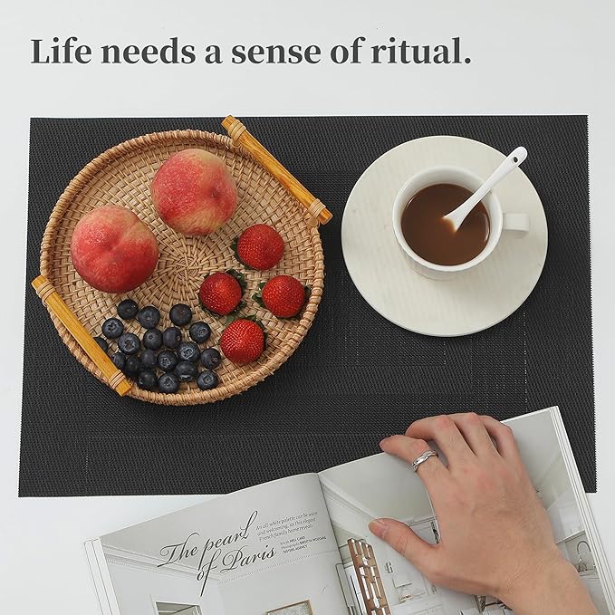 Leetaltree Black Frame Placemats Set of 4 - Heat Resistant Non-Slip Place mats for Dining Table, Washable Durable PVC Vinyl Woven Table Mats（Black Frame, 4）