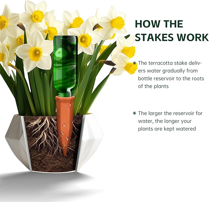 Large Terracotta Watering Spikes with Lids, Automatic Plant Waterer Outdoor | Indoor, Vacation Friendly Clay Plant Watering Devices System, Slow Release Self Watering Planter Insert, 6 Pack