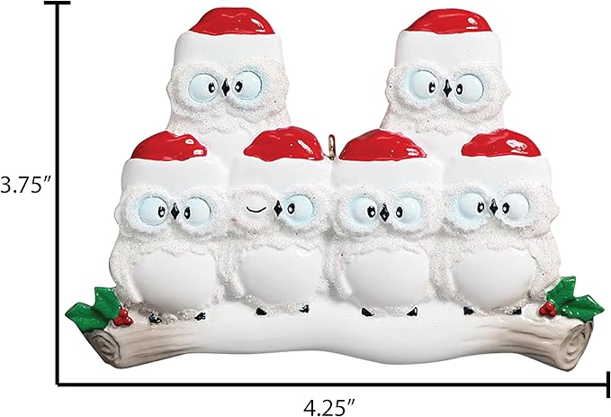 3D Owl Family of 6 Ornament 2025 Personalized Family Christmas Ornaments 2025 | White Holiday Keepsake Woodland Owls Personalized Tree Ornaments for Grandchildren, Siblings & Grandkids of Six Ornament