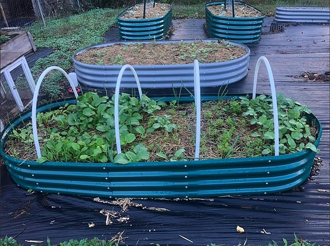 2 Pack 8x3x1FT Galvanized Raised Garden Bed Large Metal Planter Box Kit Elevated Raised Garden Planters for Outdoor Plants, Green